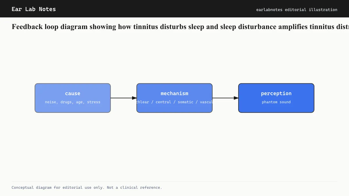 Feedback loop diagram showing how tinnitus disturbs sleep and sleep disturbance amplifies tinnitus distress.